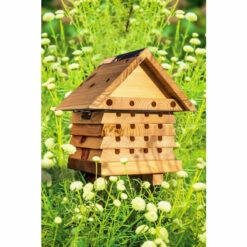 Wildlife World Ltd Interactive Solitary Bee Hive For Unisex