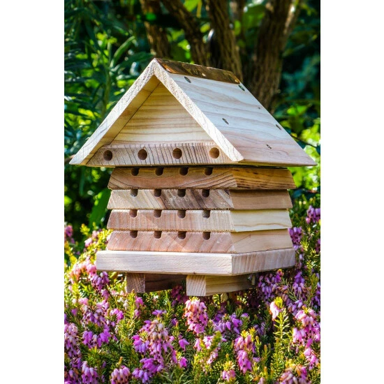 Wildlife World Ltd Interactive Solitary Bee Hive For Unisex 4 Wildlife World Ltd Interactive Solitary Bee Hive For Unisex - Image 2