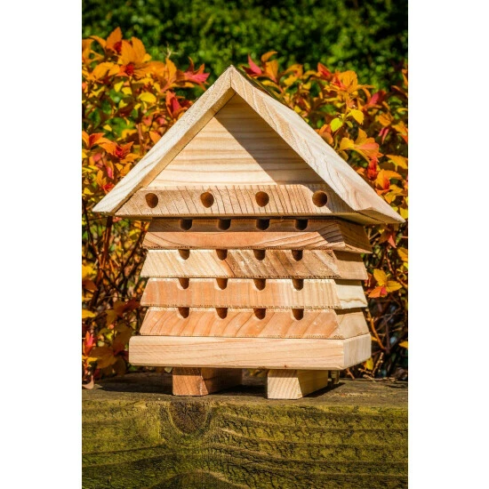 Wildlife World Ltd Interactive Solitary Bee Hive For Unisex 6 Wildlife World Ltd Interactive Solitary Bee Hive For Unisex - Image 4