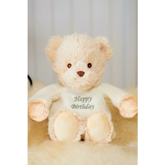 Intelex Warmies 9'' Happy Birthday Microwaveable Plush Bear For Unisex 5 Intelex Warmies 9'' Happy Birthday Microwaveable Plush Bear For Unisex - Image 3