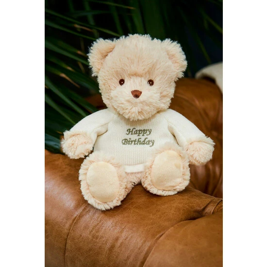 Intelex Warmies 9'' Happy Birthday Microwaveable Plush Bear For Unisex 6 Intelex Warmies 9'' Happy Birthday Microwaveable Plush Bear For Unisex - Image 4