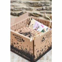 Wildlife World Ltd Butterflies Conservation Gift Pack For Unisex -Find Me A Gift Store unnamed file 1113