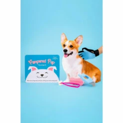 Gift Republic Pampered Pup Dog Massage Kit For Unisex -Find Me A Gift Store unnamed file 1270