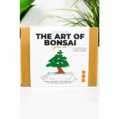 Gift Republic The Art Of Bonsai Grow Kit For Unisex -Find Me A Gift Store unnamed file 1290