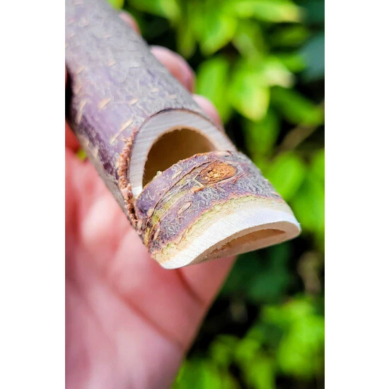 Lagoon Owl Hoot For Unisex 5 Lagoon Owl Hoot For Unisex - Image 3