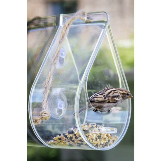 Wildlife World Ltd Dewdrop Window Bird Feeder For Unisex 2 Wildlife World Ltd Dewdrop Window Bird Feeder For Unisex