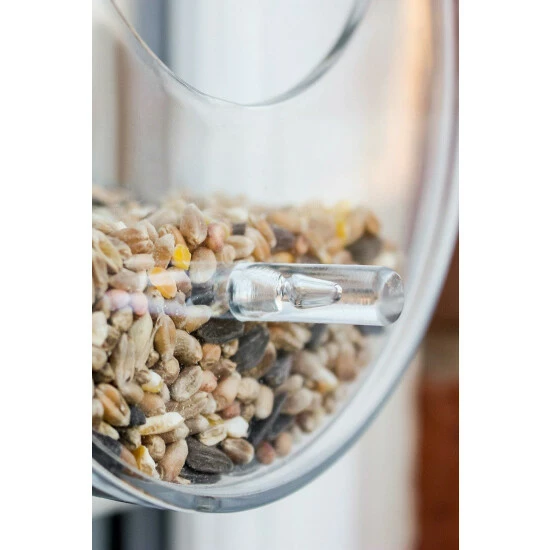 Wildlife World Ltd Dewdrop Window Bird Feeder For Unisex 5 Wildlife World Ltd Dewdrop Window Bird Feeder For Unisex - Image 4