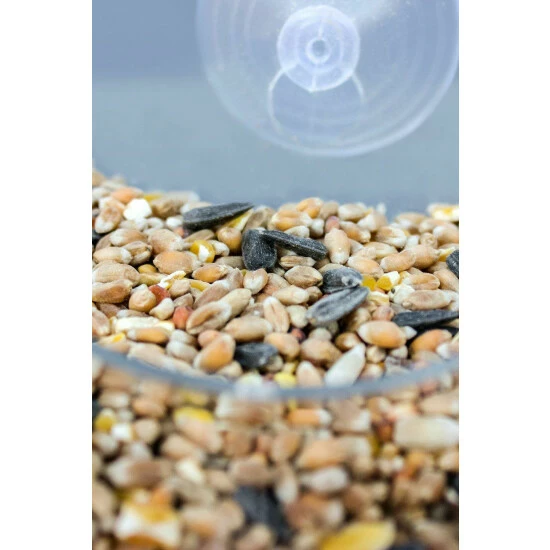 Wildlife World Ltd Dewdrop Window Bird Feeder For Unisex 6 Wildlife World Ltd Dewdrop Window Bird Feeder For Unisex - Image 5