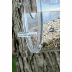 Wildlife World Ltd Dewdrop Window Bird Feeder For Unisex 13 Wildlife World Ltd Dewdrop Window Bird Feeder For Unisex -Find Me A Gift Store unnamed file 188