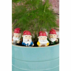 Gift Republic Mini Plant Pot Gnomes For Unisex