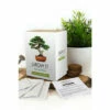 Gift Republic Grow Your Own Bonsai Trees For Unisex -Find Me A Gift Store unnamed file 623
