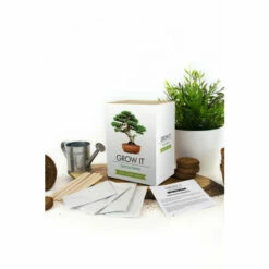 Gift Republic Grow Your Own Bonsai Trees For Unisex 8 Gift Republic Grow Your Own Bonsai Trees For Unisex -Find Me A Gift Store unnamed file 625