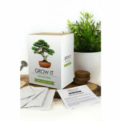 Gift Republic Grow Your Own Bonsai Trees For Unisex 9 Gift Republic Grow Your Own Bonsai Trees For Unisex -Find Me A Gift Store unnamed file 626