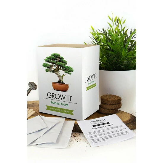 Gift Republic Grow Your Own Bonsai Trees For Unisex 6 Gift Republic Grow Your Own Bonsai Trees For Unisex - Image 4