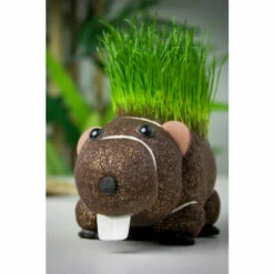 Diabolical Gifts Grow Your Own Hairy Beaver Plant For Unisex