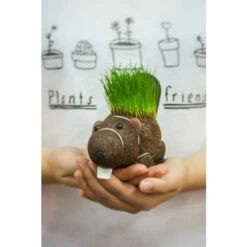 Find Me A Gift Store -Find Me A Gift Store unnamed file 709