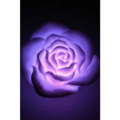 Find Me A Gift Colour Changing Floating Rose Bath Lights For Unisex -Find Me A Gift Store unnamed file 767