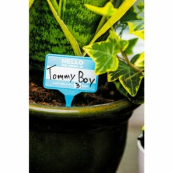 Find Me A Gift Plant Name Badges For Unisex 12 Find Me A Gift Plant Name Badges For Unisex -Find Me A Gift Store unnamed file 925