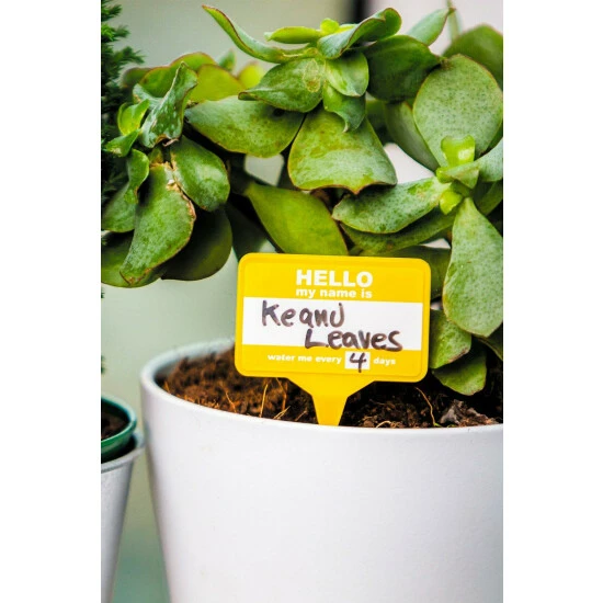 Find Me A Gift Plant Name Badges For Unisex 9 Find Me A Gift Plant Name Badges For Unisex - Image 7